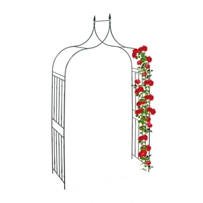Afbeelding van Relaxdays rankhulp rozenboog metaal tuinboog klimplantenboog tuin decoratie
