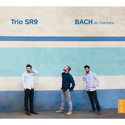 Afbeelding van Trio Sr9 Au Marimba (CD)