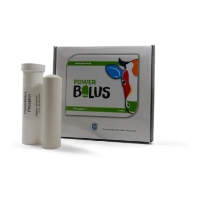 Afbeelding van Powerbolus fosfor 4st