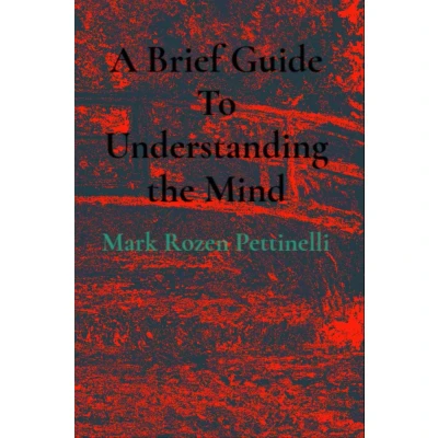 Afbeelding van A Brief Guide To Understanding the Mind