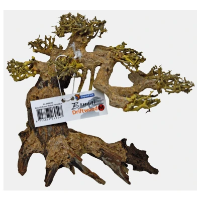 Afbeelding van Bonsai boom Medium
