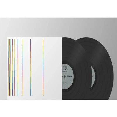 Afbeelding van John McGuire Pulse Music (2 LPs)