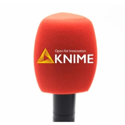 Afbeelding van 1 Stuk Aanpassen Microfoon Schuim Windschermen Handhold Mic Foam Covers met Logo Gedrukt voor TV Interview Broadcast Microfoons (Rood)