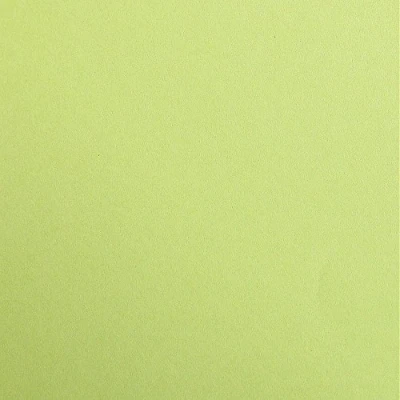 Afbeelding van Clairefontaine 97352C verpakking met 25 vellen tekenpapier Maya, DIN A4, 21 x 29,7 cm, 120 g, glad, ideaal voor droogtechniek en inlijsting), limoengroen