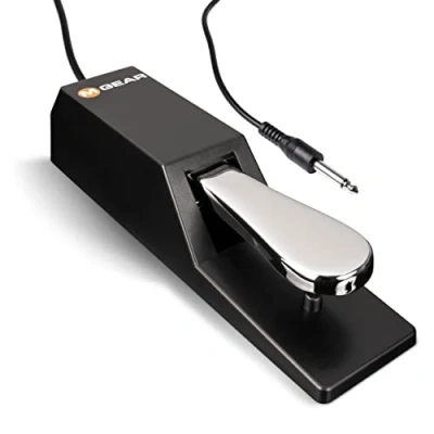 Afbeelding van M Audio SP 2 Universeel sustainpedaal met actie in pianostijl, het ideale accessoire voor MIDI keyboards, digitale piano&#039;s, elektronische toetsenborden en meer