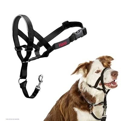 Afbeelding van The Company Of Animals Halti Headcollar Zwart NR 2