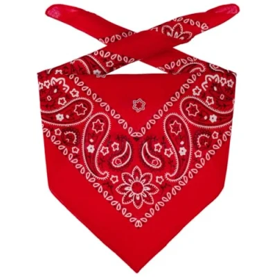 Afbeelding van Lipodo Bandana Doek Dames/Heren/Kinderen hoofddoeken bandanas hoofddoek voor Zomer/Winter One Size rood