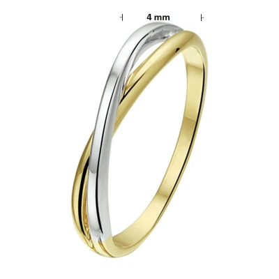 Afbeelding van Bicolor Gouden Ring 4207979 16.50 mm (52)