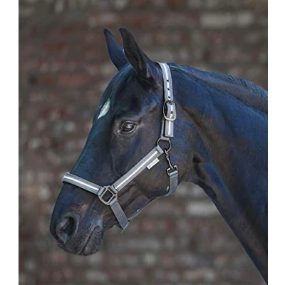 Afbeelding van REFLEX Stripe Halter Pony
