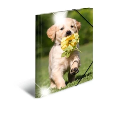 Afbeelding van 3x Elastomappen glossy dieren A3 PP honden
