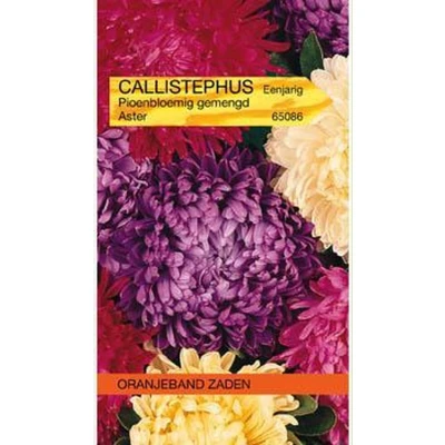 Afbeelding van Callistephus, Aster Pioenbloemig gemengd