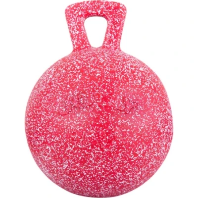 Afbeelding van Jolly Ball Speelbal 10&quot; pepermuntgeur 25 Rood