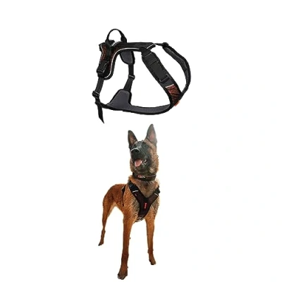 Afbeelding van Non stop dogwear Rock Harness 130 geleiding en dagelijks servies, maat: XS