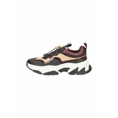 Afbeelding van Steve Madden Sneakers laag, Dames, Maat: 36, Brn wne bw Schoenen