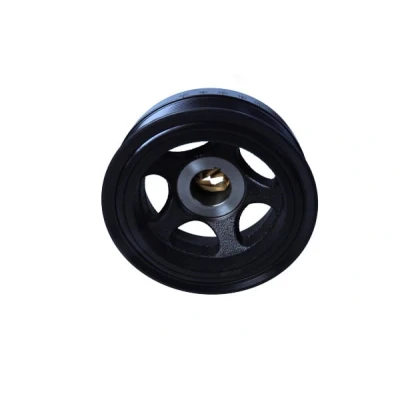 Afbeelding van Riemschijf, krukas MAXGEAR 30 0256