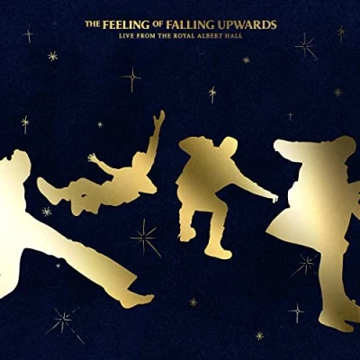 Afbeelding van Five Seconds of Summer Feeling Falling Upwards (Live From the Royal Albert Hall) (2 LPs)