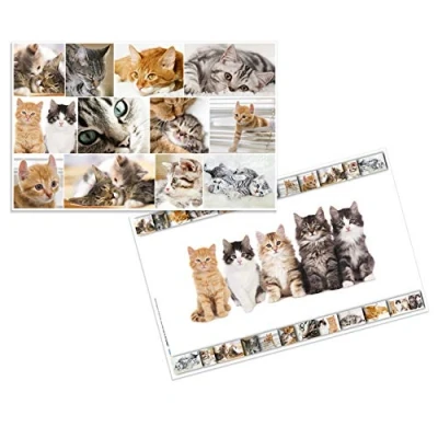 Afbeelding van HERMA 19379 Bureauonderlegger, dieren en katten, afwasbaar, kinderbureauonderlegger van karton, 55 x 35 cm, dubbelzijdig motief, onderlegger voor meisjes jongens