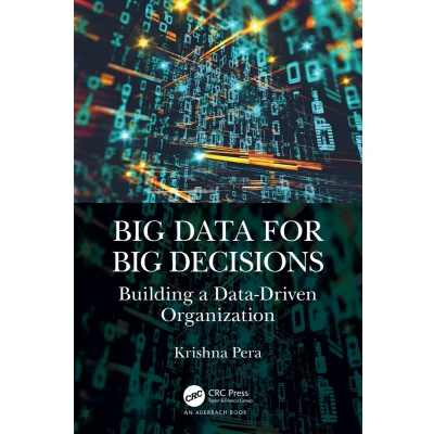 Afbeelding van Big Data for Decisions: Building a Driven Organization