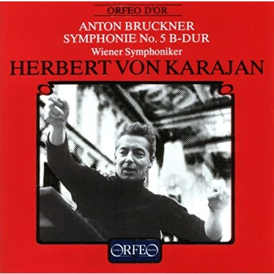 Afbeelding van Wiener Symphoniker Symphonie No. 5 B Dur (CD)