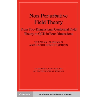 Afbeelding van Non Perturbative Field Theory