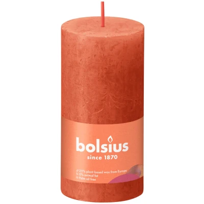 Afbeelding van Stompkaars Earthy Orange 100/50 rustiek Bolsius