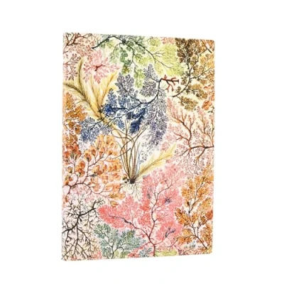 Afbeelding van Notitieboek PB Flexis Anemone Midi blanco