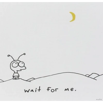 Afbeelding van Moby: Wait For Me (Ee Version) [CD]
