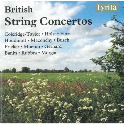 Afbeelding van Various Artists British String Concertos (4 CD)