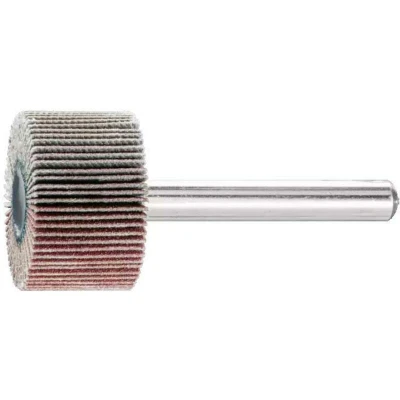 Afbeelding van PFERD 44406186 Lamellenschijf Diameter 25 mm 10 stuk(s)