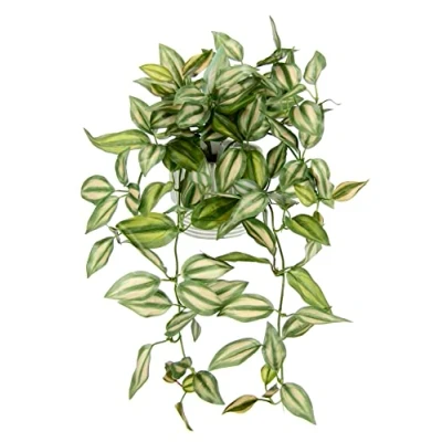Afbeelding van I.GE.A. Kunstplant Tradescantiahänger (2 stuks)