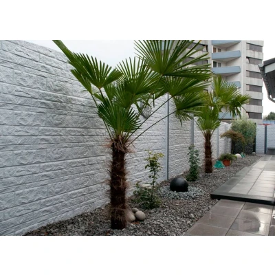 Afbeelding van Intergard Betonschutting Fencestone enkelzijdig 200x231cm