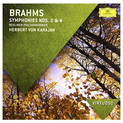 Afbeelding van Symphonies Nos.2 &amp; 4 (Virtuoso)