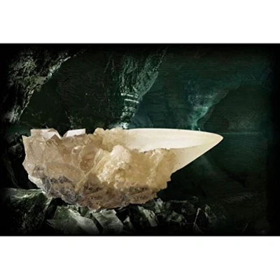Afbeelding van Noble Collection Harry Potter: The Crystal Goblet
