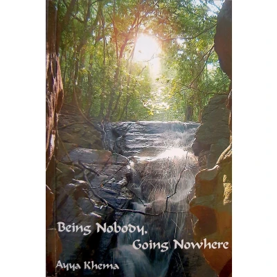 Afbeelding van Being Nobody, Going Nowhere: Meditations on a Buddhist Path