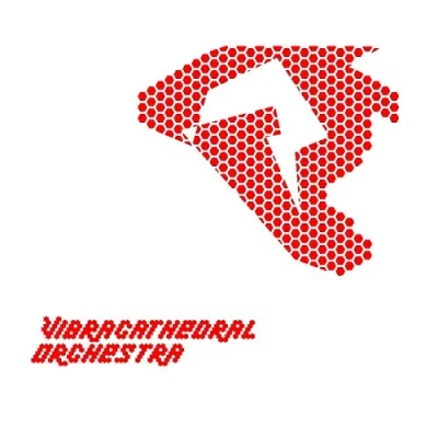 Afbeelding van Vibracathedral Orchestra Squeeze the Lids Through Coming Window (LP)