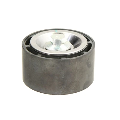 Afbeelding van Dayco Geleiderol (poly) V riem APV3064