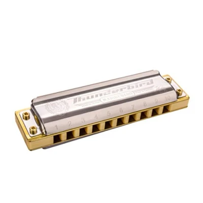 Afbeelding van Hohner Marine Band &#039;Thunderbird&#039; Low D Diatonische mondharmonica