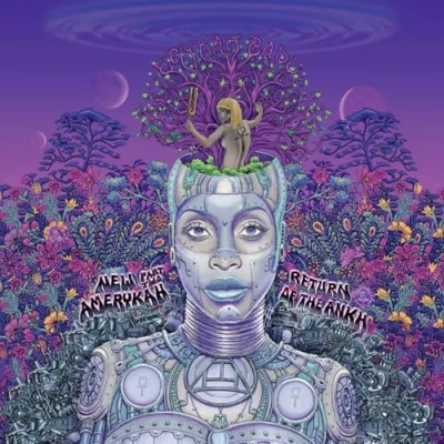 Afbeelding van Erykah Badu New Amerykah Part Two (2 LPs)