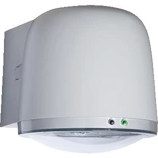 Afbeelding van Famostar nightlife vpa 1 noodverlichting wandopbouw 115lm 5000 6000k zonder pictogram kunststof ip65 hxbxl 170x165x205mm 392130