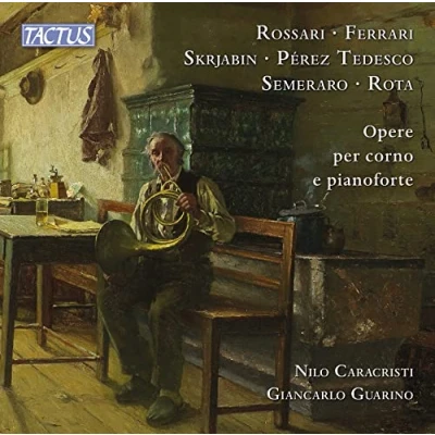 Afbeelding van Nilo Caracristi &amp; Giancarlo Guarino Works for Horn Piano (CD)