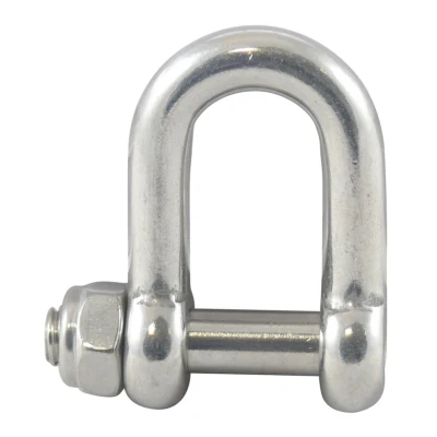 Afbeelding van RVS D sluiting met binnenzeskant en borgmoer 8 mm 316