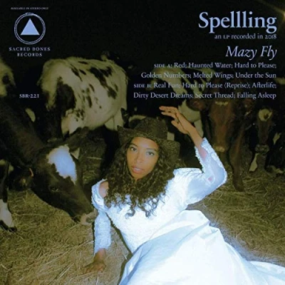 Afbeelding van Spellling Mazy Fly (CD)