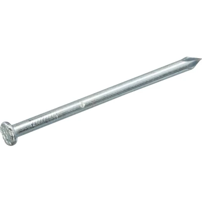 Afbeelding van Intergard Draadnagel spijkers 2.7x60mm blank platkop per kg