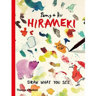 Afbeelding van Hirameki Draw What You See! /anglais