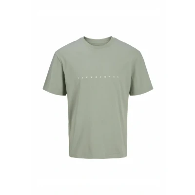 Afbeelding van Jack &amp; Jones PLUS SIZE LOGO Tshirt print, Heren, Maat: 3XL, Iceberg green
