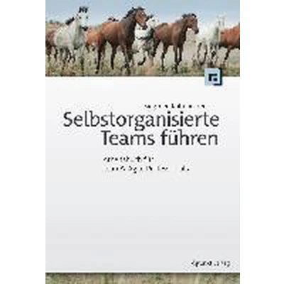 Afbeelding van Selbstorganisierte Teams führen