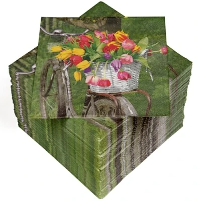 Afbeelding van HEKU 100 servetten, 3 laags, 33 x cm, tulpen, absorberend en praktisch verpakt, gemaakt in Duitsland, ideaal voor speciale gelegenheden