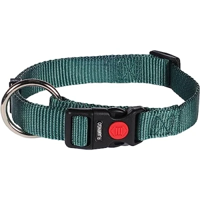 Afbeelding van Hondenhalsband Ziggi donkergroen 40 55 cm x 20 mm