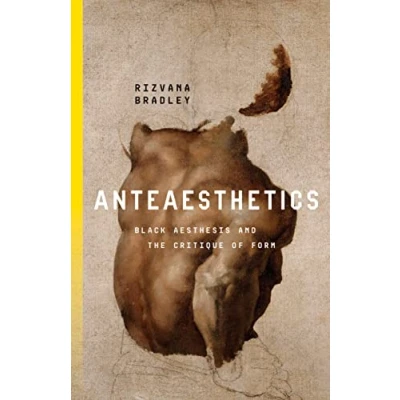 Afbeelding van Anteaesthetics: Black Aesthesis and the Critique of Form