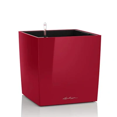 Afbeelding van Lechuza Cube premium 50 Scharlakenrood hoogglans